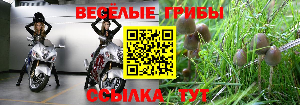 Псилоцибиновые грибы ЛСД Скопин